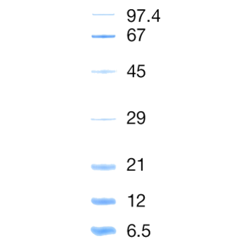 Icon 350x350 01-2021.png